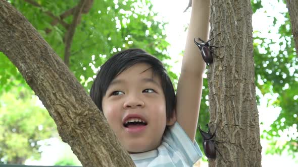 Cute Asian Child Playing With Rhinoceros Beetle In The Forest