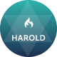 Preview icon