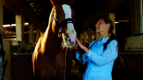 Veterinarian doctor petting a horse 4k