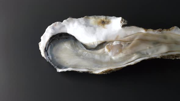 Giant Raw Fresh Oyster on Half Shell on Black Background