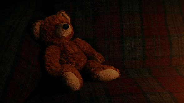 Teddy On Sofa In Firelight