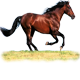 Horses Running Across The Meadow