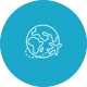 Preview icon
