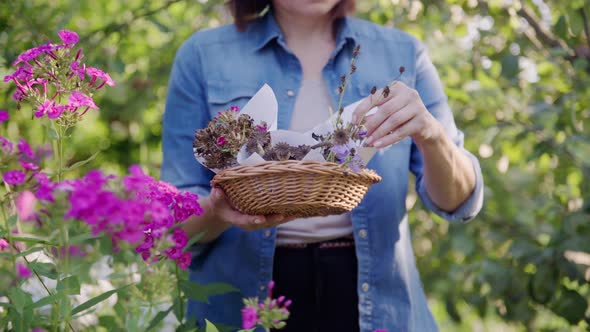 Woman in Summer Garden with Collected Dried Flowers Plant Seeds in Basket