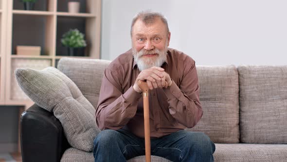 Handsome 80s Disabled Grandfather Posing with Walking Stick Relaxing on Comfy Couch Enjoy Retirement