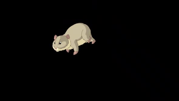 Grey hamster runs away alpha matte