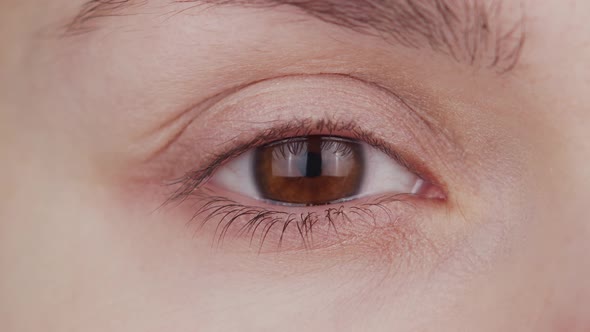 Closeup of female brown eye. Woman is looking at the camera close-up.