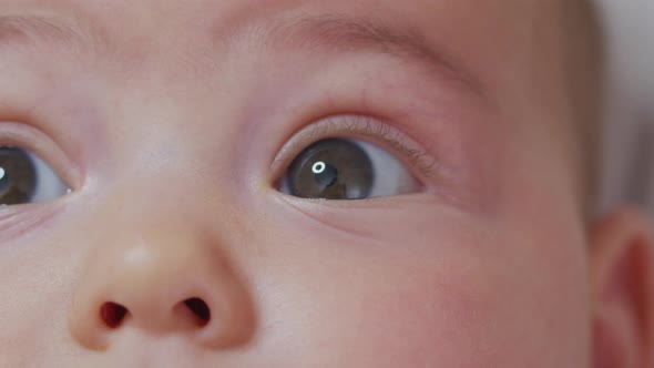Newborn Closeup of Eyes Observing the World.