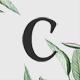 Preview icon