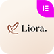 Preview icon