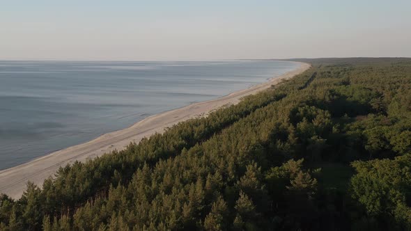 Aerial View Of The Lush Green Vegetation At The Baltic Coast.