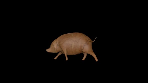 Old Wood Pig Walk Transparent Alpha Loop