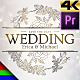 Wedding Ceremony 4K - VideoHive Item for Sale
