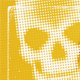 Typography Transition Overlays - VideoHive Item for Sale