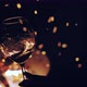 Closeup of Woman Hand Waving Wine in a Glass on Defocused Cozy Sparks From Campfire of Background - VideoHive Item for Sale