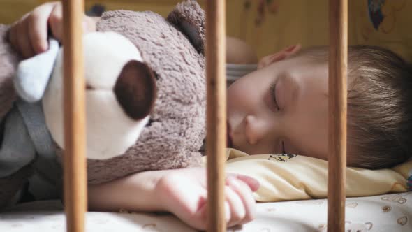 Little Sweet Toddler Boy Sleeping in Child Bed with a Teddy Bear.