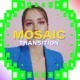 Mosaic Transition - VideoHive Item for Sale
