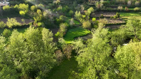 Farming on the banks of the river aerial view Alanya Turkey 4 K