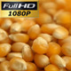 Pouring Corn Seeds | Full HD - VideoHive Item for Sale