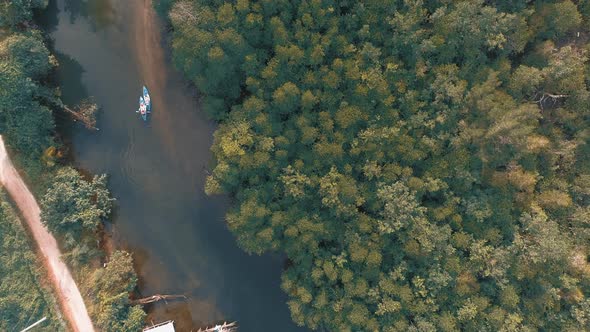 Aerial View on River in Mangrove Forest