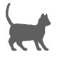 Crunchy Cat Dry Food Eating Sound Effect
