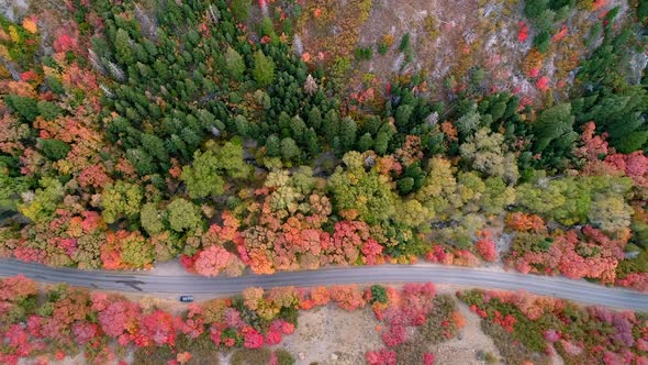 Aerial panning view of road in canyon through colorful fall foliage