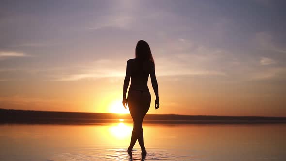 Gorgeous View of a Young Woman in Bikini Walking By the Seashore Water Surface
