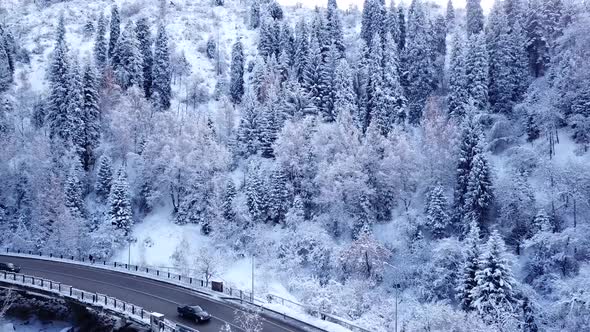 Snowy Mountains Winter Forest and Road with Cars