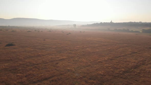 Aerial View of an Empty Golden Field