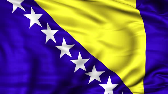 Bosnia and Herzegovina Flag