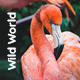 WildWorld | Nonprofit & Ecology WordPress Theme - ThemeForest Item for Sale
