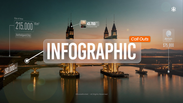 Infographic Call Outs