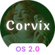 Preview icon