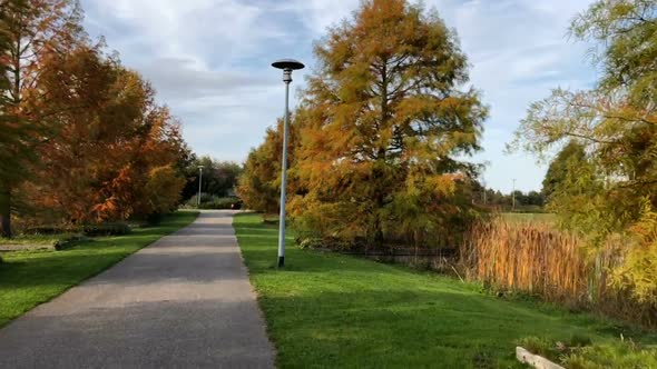 Wide alley along the autumn trees