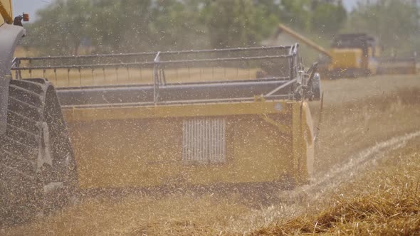 Combine harvesting golden wheat