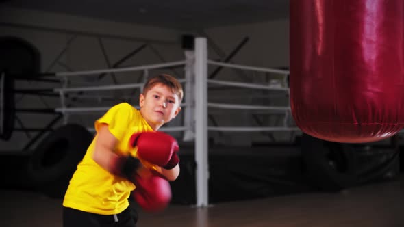 Little Funny Boy in Boxing Gloves Fooling Around and Goofy