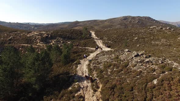 Aerial Horseback Ride