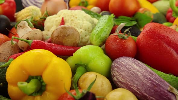 Still Life with Vegetables on the Table