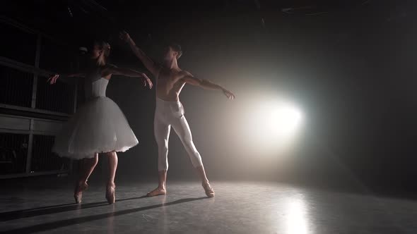 Professional Ballet Couple Dancing in Spotlights Smoke on Big Stage. Beautiful Young Woman and Man