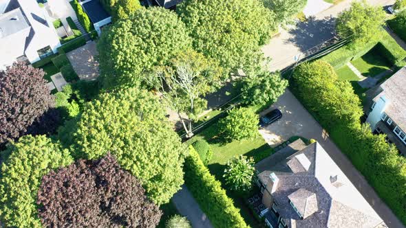 Villas in rich neighborhood in Southampton, Long Island, USA, drone.