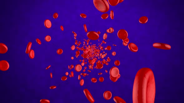 Bloodstream Animation	