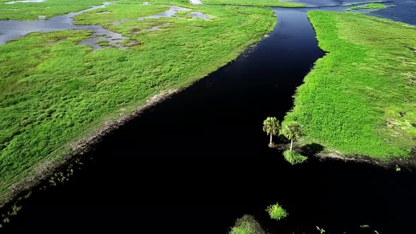 Marshland along the Saint John's River in Cocoa, Florida.