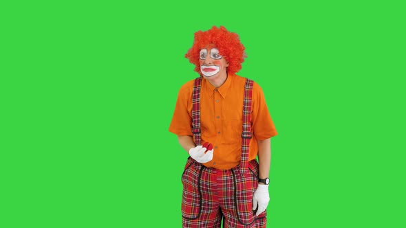 Clown Taking Off His Red Nose and Smelling the Air on a Green Screen Chroma Key