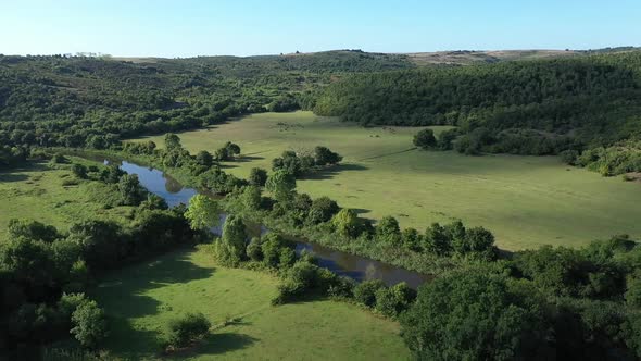 River Forest And Cloud Shadows Aerial View