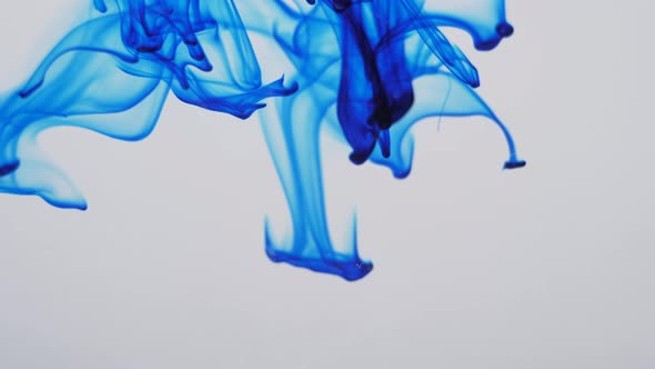 Spreading of Blue Paint in a Liquid Space