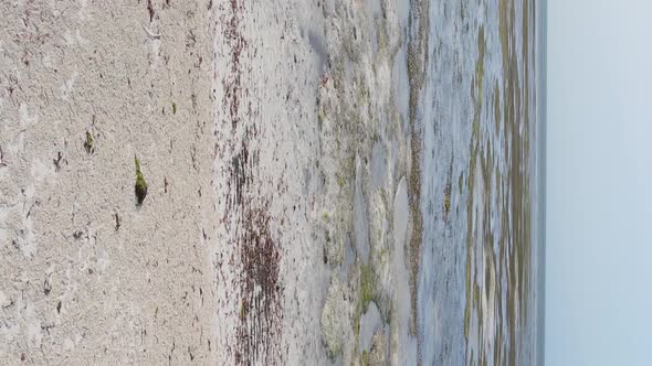 Zanzibar Tanzania  Vertical Video of Low Tide in the Ocean Near the Coast Slow Motion