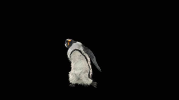 Penguin Dancing HD