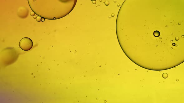 Abstract Colorful Food Oil Drops Bubbles 70