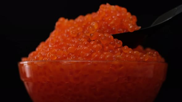 Red caviar. Bowl with red salmon salted roe caviar on tasting table