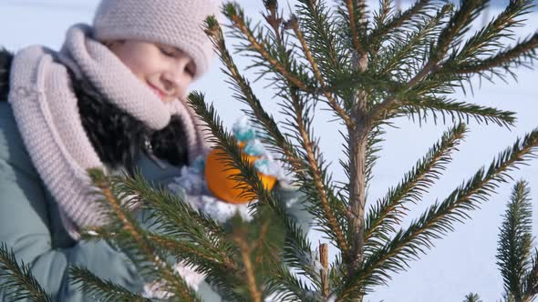 Winter Relax By the Fir Tree